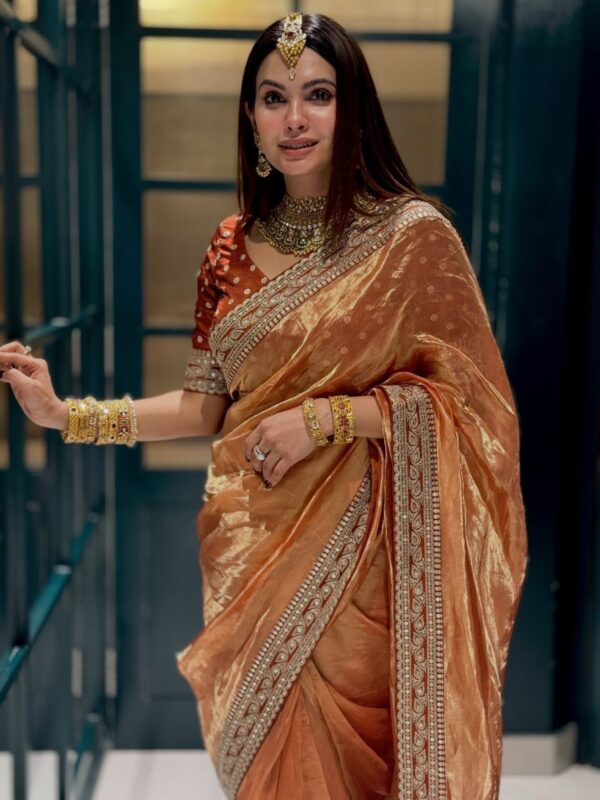 Beautiful Sequence & Dori Embroidery Work Saree